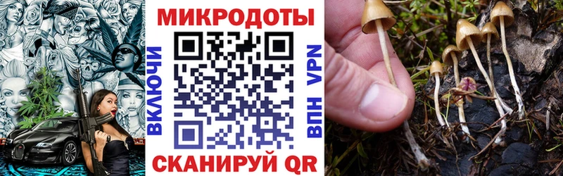 Купить закладки  Воркута  Галлюциногенные грибы MAGIC MUSHROOMS 